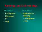 Ideal Radionuclide