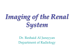 Imaging of the Renal System