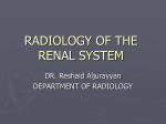 L1- radiology of the renal system 2