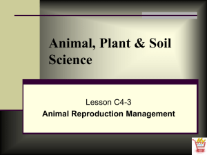 Animal Reproduction Management