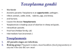 Toxoplasma gondii