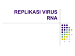 replikasi virus rna