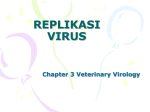 Replikasi Virus