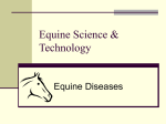 Equine Science & Technology