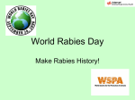 World Rabies Day - Animal Health Sales Inc
