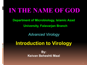 General structure and classification of viruses
