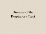 Diseases of the Respiratory Tract