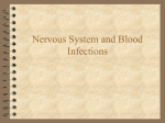 Nervous System Infections - Biology Online Learning