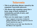 The Epidemiology of Tick-transmitted Zoonotic Disease