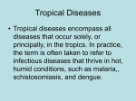 Tropical Diseases