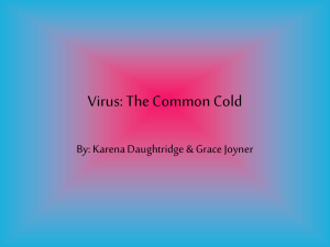 Virus: The Common Cold