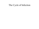 The Chain of Infection