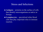 ImmuneStress2001