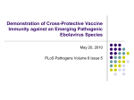 Demonstration of Cross-Protective Vaccine Immunity against an