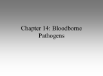 Chapter 14: Bloodborne Pathogens