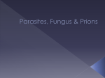 Fungus & Prions