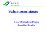 Schistosomiasis