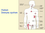 What is Immunity?