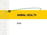 Animal Health ppt