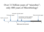 Micro History