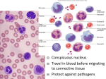 White Blood Cell Lab