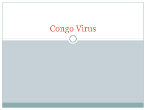 Congo Virus