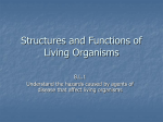 Structures and Functions of Living Organisms