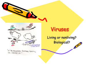 Viruses – Invisible Invaders, Amazing Allies
