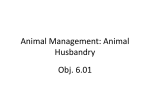 Animal Management: Animal Husbandry Obj. 6.01 Safety in the