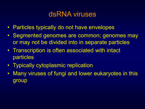 dsRNA viruses