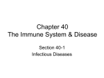 Chapter 40 The immune System & Disease