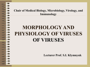 Morphology and physiology of viruses