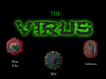 The Virus