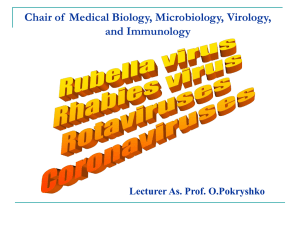 Rabies_Corona_Rubella_Rotaviruses