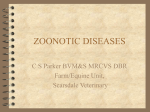 Zoonotic_Infections