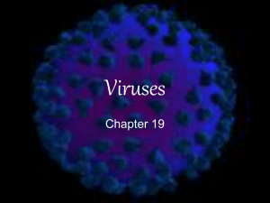 Viruses