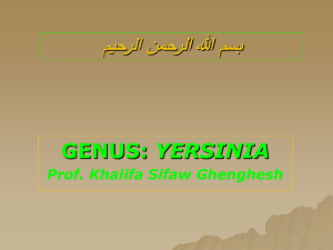 Lecture 18-Yersinia