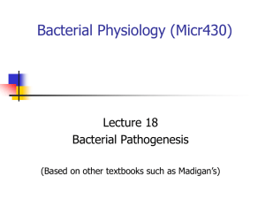 W09micr430Lec18 - Cal State LA