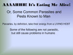 HUMAN PARASITES