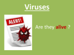 Viruses - Effingham County Schools
