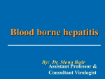 09blood born hepatit..