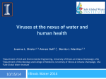 Viruses at the nexus of water and human health  Joanna L. Shisler