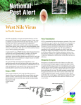 National Pest Alert West Nile Virus in North America