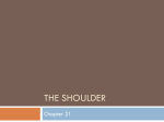 The shoulder - MyersParkSportsMed