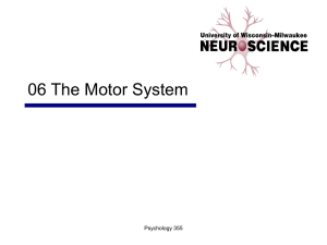 06 Motor Systems