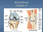 Articulations Chapter 6