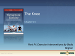Chapter 21 Knee Joint - PHT 1228c Therapeutic Exercise II