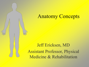 Anatomy Basic Concepts - Physical Medicine & Rehabilitation