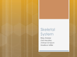 Skeletal System - Matanuska-Susitna Borough School District