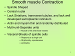 Smooth muscle Contraction - Current University of Rio